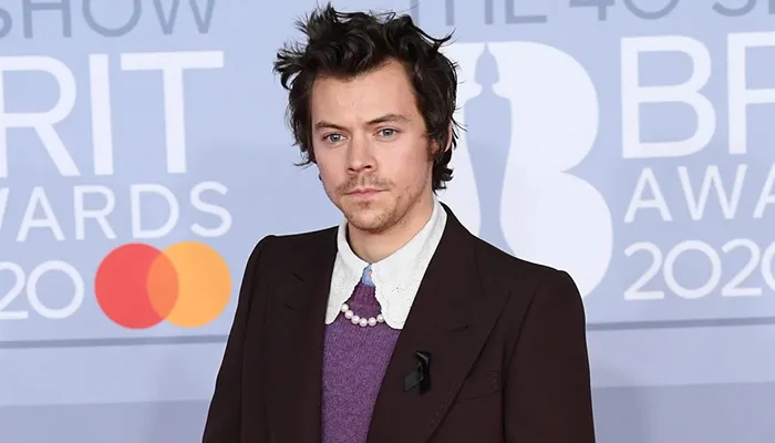 'STALKER' ORDEAL Harry Styles left ‘shaken’ after being ‘harassed’ by ...