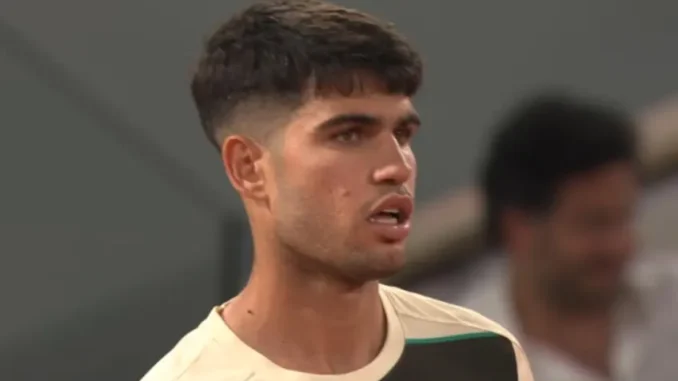 roland-garros-carlos-alcaraz-downs-damir-dzumhur-in-nightsession-thriller (1)